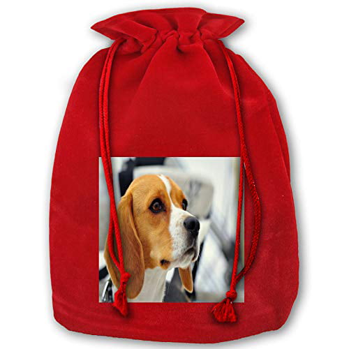 Beagle Party Favors Bags,Treat Goodie Bags for Kids 